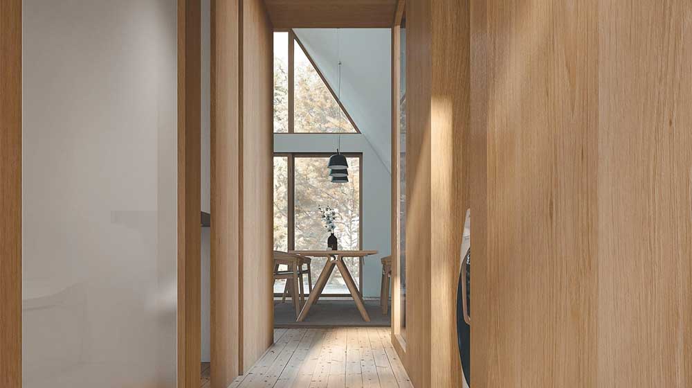 A-Frame Beach - Prefab Light Steel Frame House